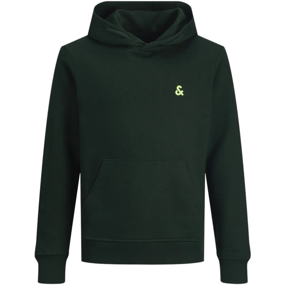 12213100 JJESTAR ROOF SWEAT HOOD NOOS JNR PINE GROVE