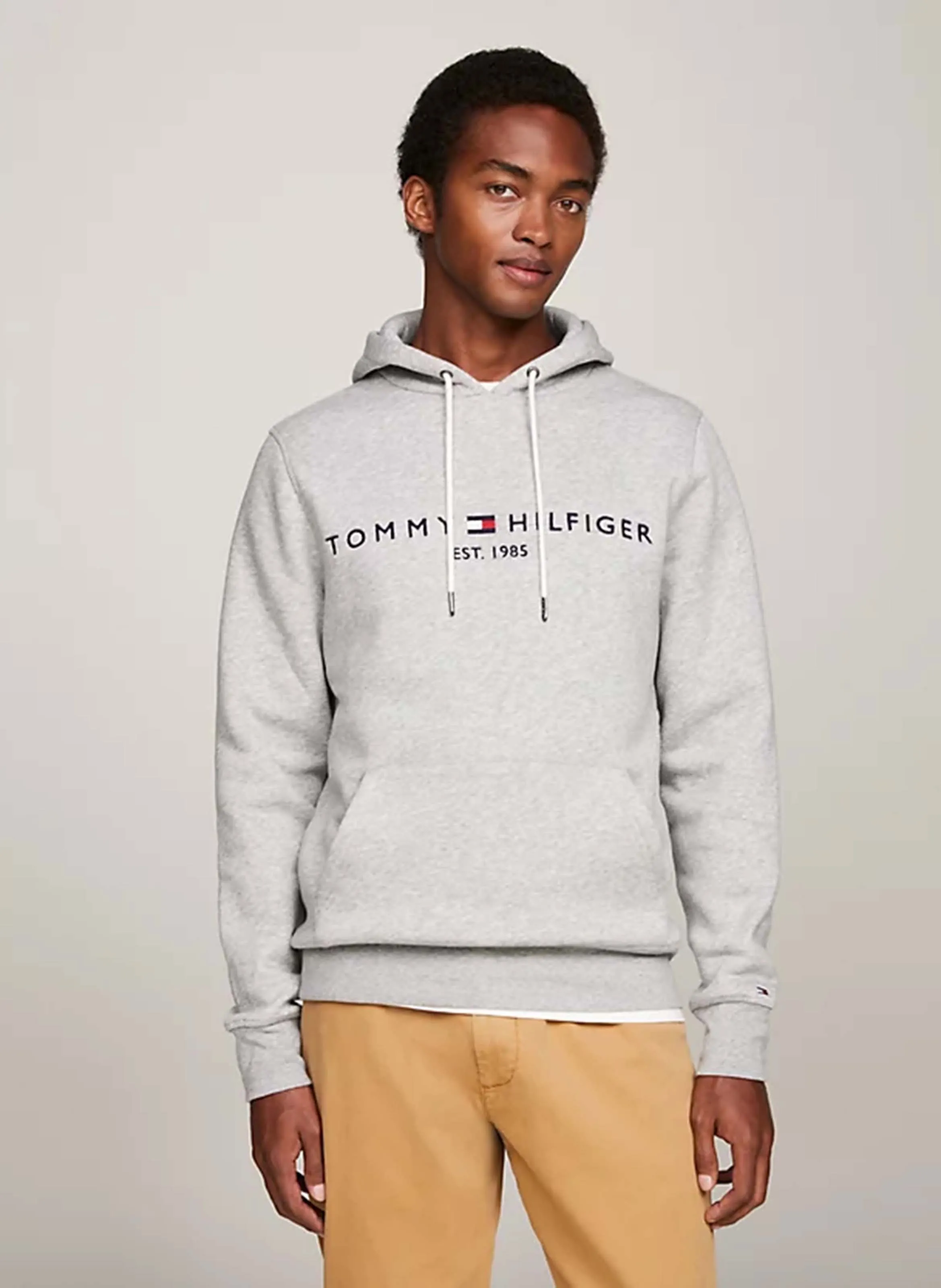 Sudadera bordada de felpa regular fit con capucha en gris